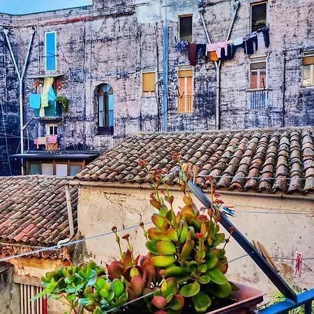 Vico Viscuso * Catania