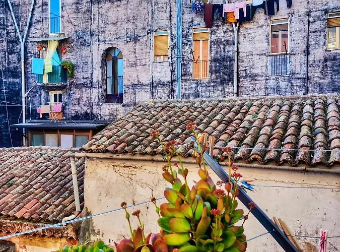 Vico Viscuso * Katania